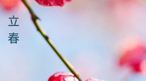 [立春]是新一年的開(kāi)始-祝您虎年旺旺旺【杭州易造】