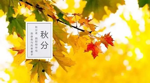 廿四節(jié)氣 | 秋分：秋向此時分【杭州易造】