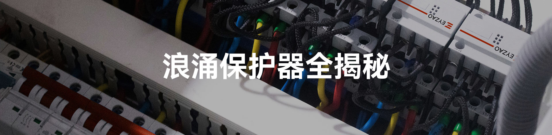 浪涌保護(hù)器