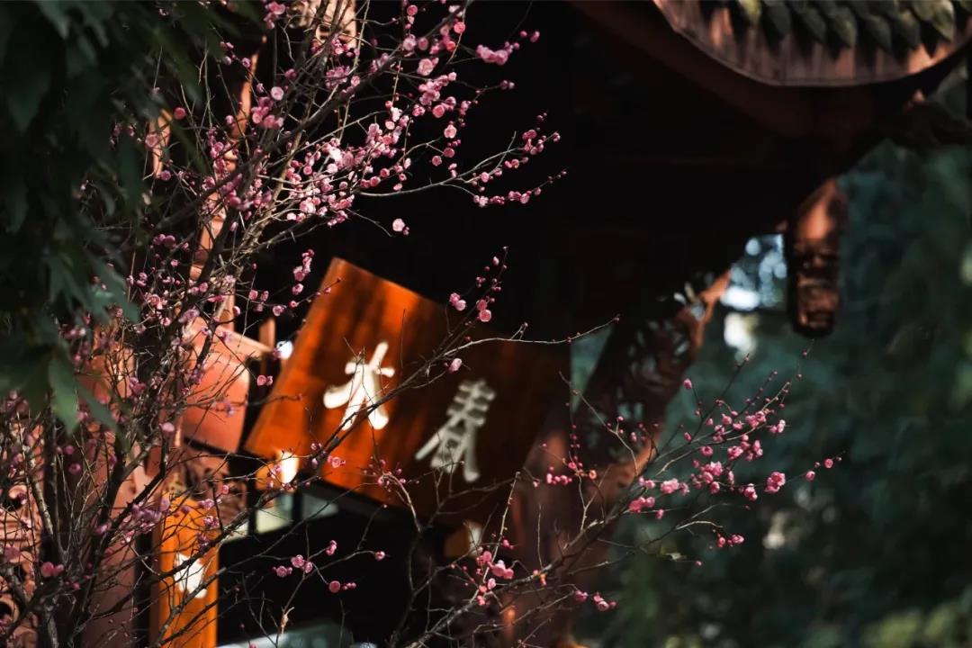 立春一年新的開始-杭州易造