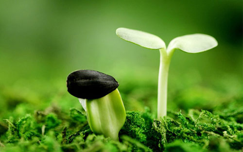 二十四節(jié)氣 | 驚蟄到，春意濃【杭州易造】