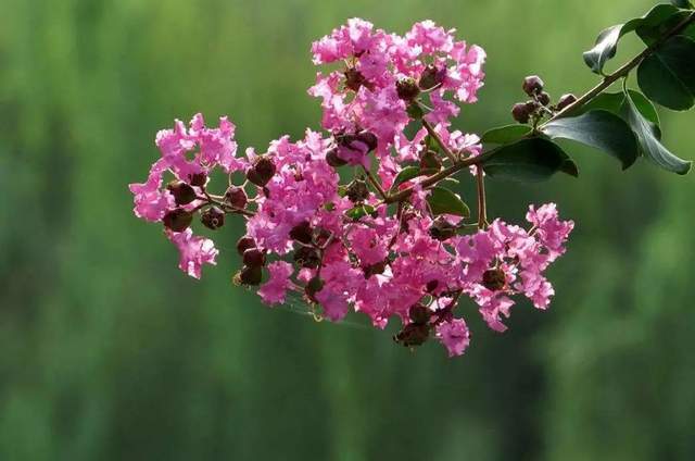 植樹(shù)節(jié)-春風(fēng)十里，正“植”有你【杭州易造】