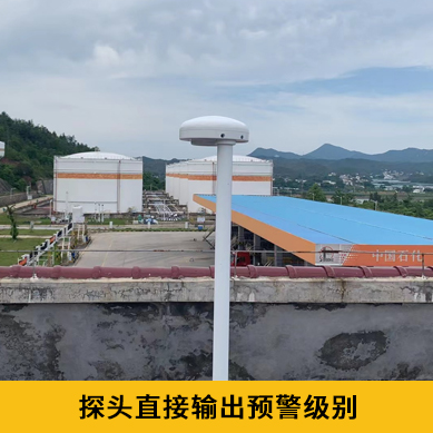 雷電預警系統價格-IP65探頭