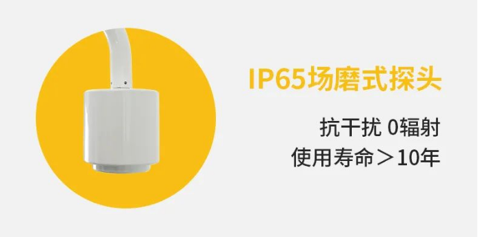 雷電預警系統-IP65場磨式探頭