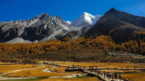 浪涌后備保護(hù)器